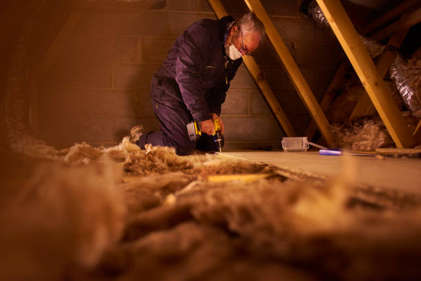 Best Insulation Maintenance and Repair in Wamego, KS
