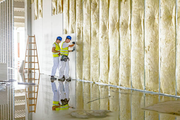 Best Commercial Insulation in Wamego, KS
